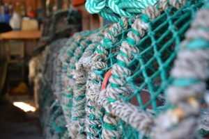 Lobster,Stones,In,The,Garage