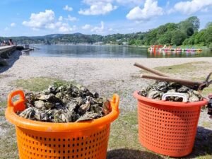 86dff940-3bb8-46eb-b72c-7abb632c1fa6-w_960