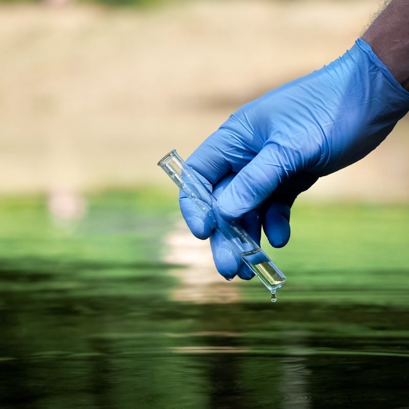 shutterstock_445349674